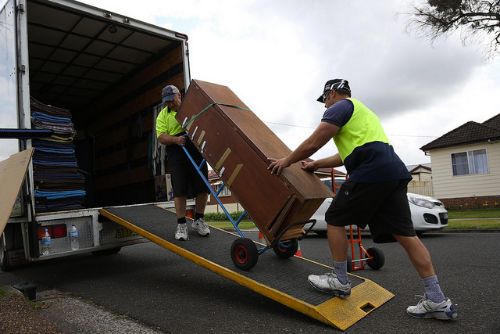 whether to use a professional removals company or not